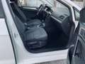 Volkswagen Golf 5p 1.6 tdi (btdi) Comfortline 110cv dsg.UNICO PR - thumbnail 9