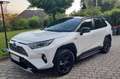 Toyota RAV 4 RAV 4 - 2,5 l Hybrid Weiß - thumbnail 3