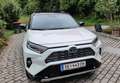 Toyota RAV 4 RAV 4 - 2,5 l Hybrid Weiß - thumbnail 6