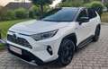 Toyota RAV 4 RAV 4 - 2,5 l Hybrid Weiß - thumbnail 4