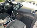 Ford Kuga ST LINE NAVI LED Parkpilot Tempomat PDC Wit - thumbnail 12