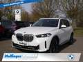 BMW X5 x30d KomfSitz+Massage+Belüft.Kamera AHK  21" Weiß - thumbnail 1