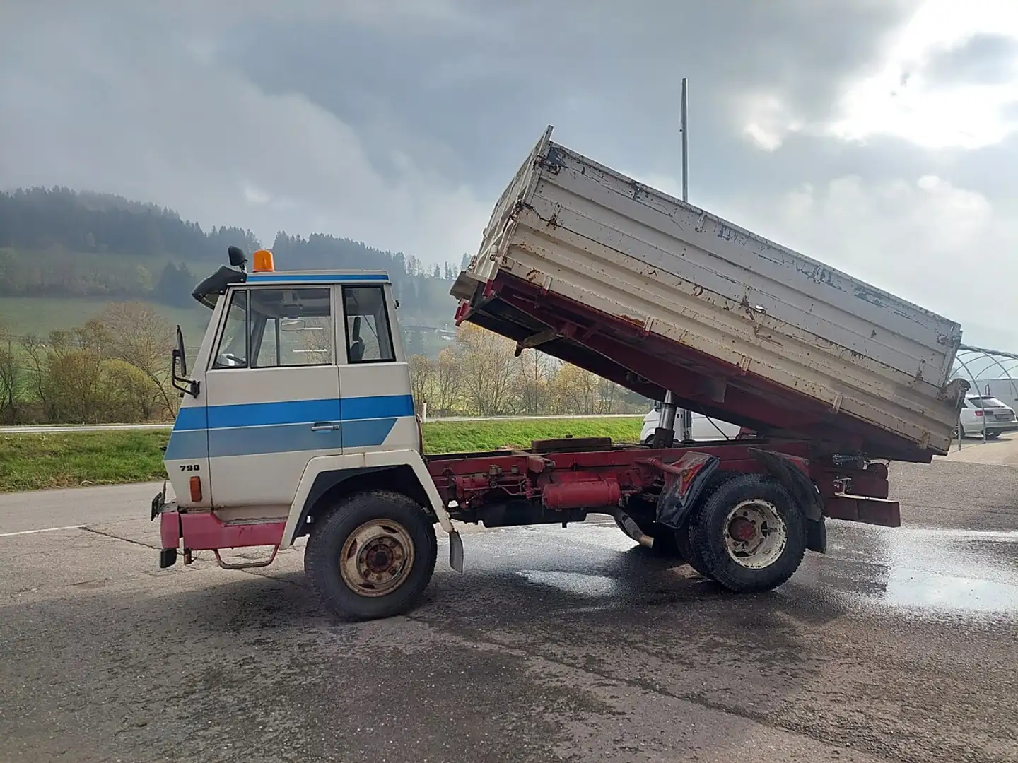 Steyr 790, 4x4, mit Sperre, Kipperaufbau - 1