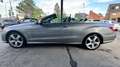 Mercedes-Benz 220 E Cabrio 220 CDI BlueEfficiency*AMG-P*Automtaik* Silber - thumbnail 4