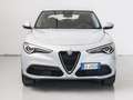 Alfa Romeo Stelvio 2.2 Turbodiesel 190 CV AT8 Q4 Business - thumbnail 3