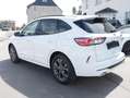 Ford Kuga Hybrid ST-Line X iACC BLIS Panorama Wit - thumbnail 3