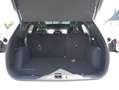 Ford Kuga Hybrid ST-Line X iACC BLIS Panorama Wit - thumbnail 16