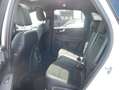 Ford Kuga Hybrid ST-Line X iACC BLIS Panorama Wit - thumbnail 15