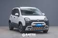 Fiat Panda Pandina 1.0 Firefly Hybrid 70CV Wit - thumbnail 1