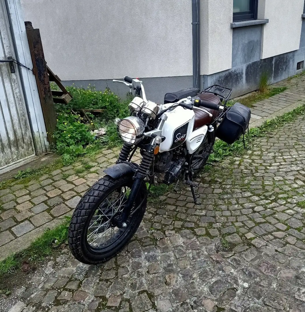 Orcal Sirio Blanc - 2