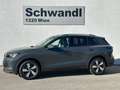 Volkswagen Tiguan Friends eTSI DSG Grau - thumbnail 2