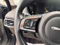 Jaguar F-Pace Prestige AWD+Leder+Pano+Kamera+Carplay+ Grau - thumbnail 24