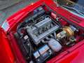 Alfa Romeo Spider 2000 INIEIZIONE RESTAURO COMPLETO Rouge - thumbnail 14