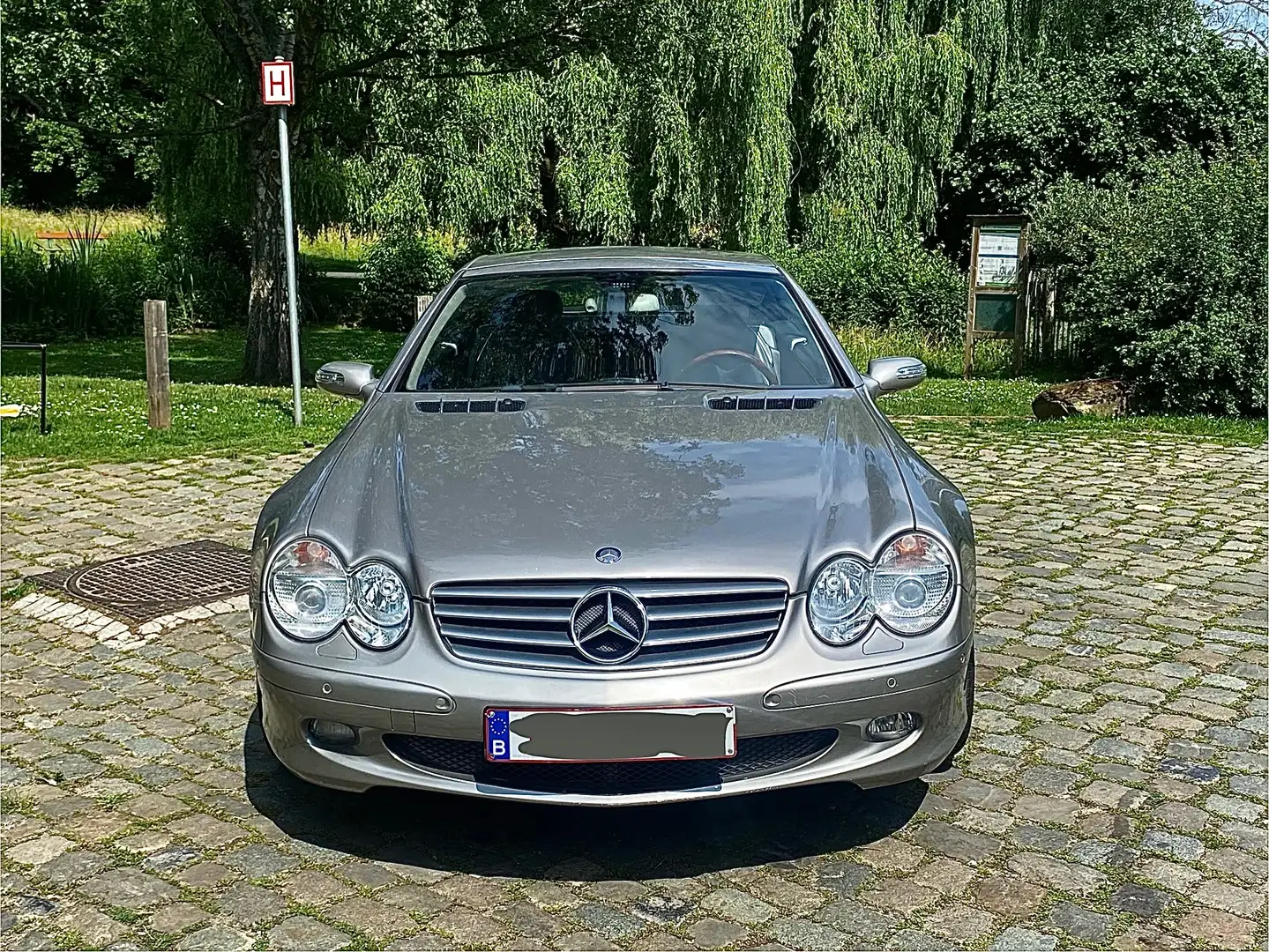 Mercedes-Benz SL 350 SL Roadster 350 Stříbrná - 2