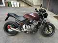 Honda Hornet special - thumbnail 5