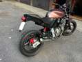 Honda Hornet special - thumbnail 8