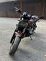 Honda Hornet special - thumbnail 2