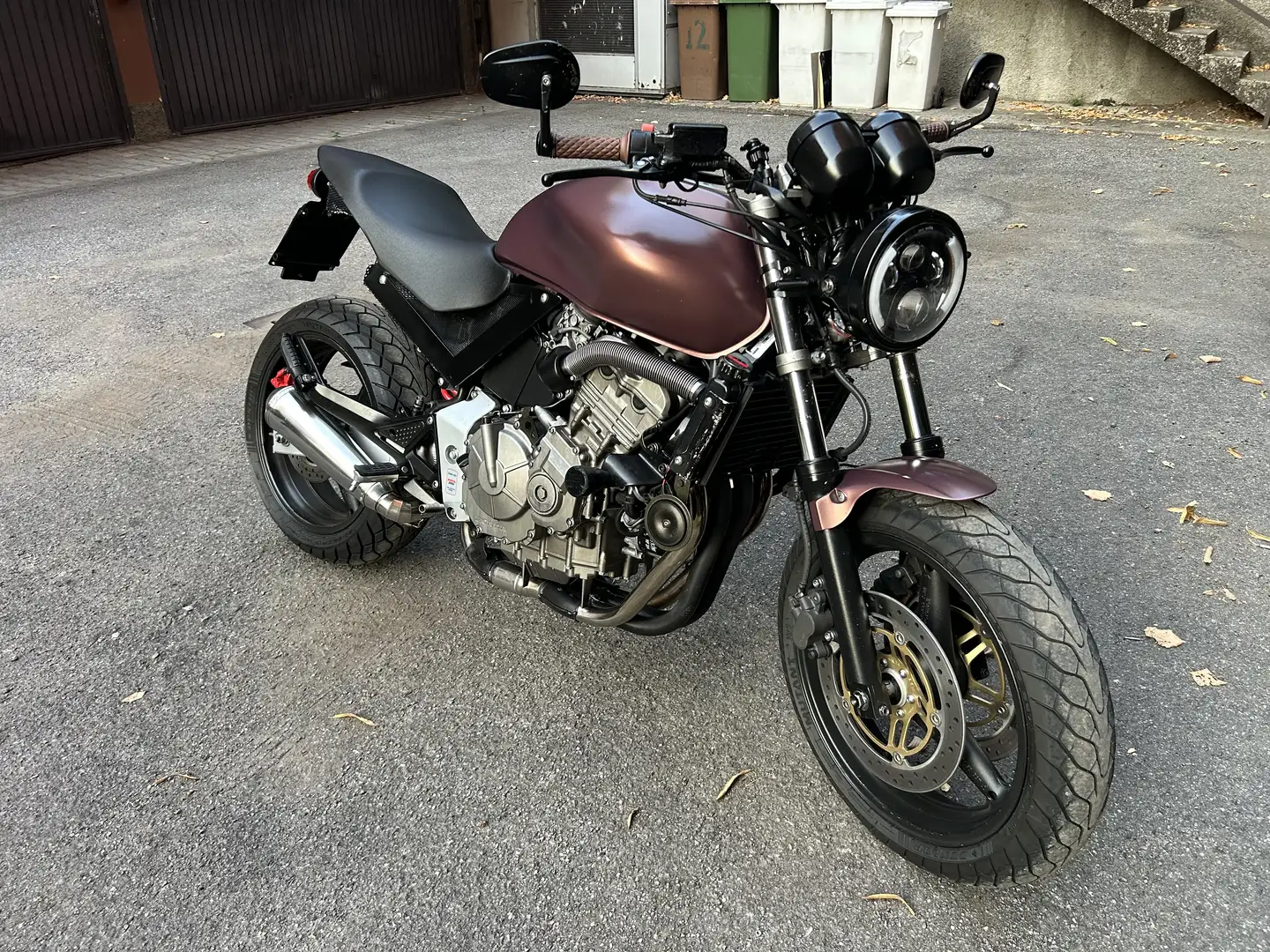 Honda Hornet special - 1
