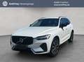 Volvo XC60 XC60 B4 AWD Plus-Dark Aut Leder BLIS PilotAssist Weiß - thumbnail 1