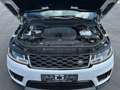 Land Rover Range Rover Sport S D250|1.Hand|Meridian|360|AHK Weiß - thumbnail 18