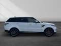 Land Rover Range Rover Sport S D250|1.Hand|Meridian|360|AHK Weiß - thumbnail 9