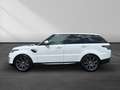 Land Rover Range Rover Sport S D250|1.Hand|Meridian|360|AHK Weiß - thumbnail 8
