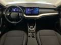 Skoda Octavia Selection TDI DSG Blau - thumbnail 14