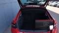 Skoda Superb 2.0 TDI DSG L&K Virtual/Leder/ACC/Kamera Rouge - thumbnail 19
