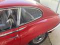 Jaguar E-Type 2 + 2 Serie 1 Rot - thumbnail 5