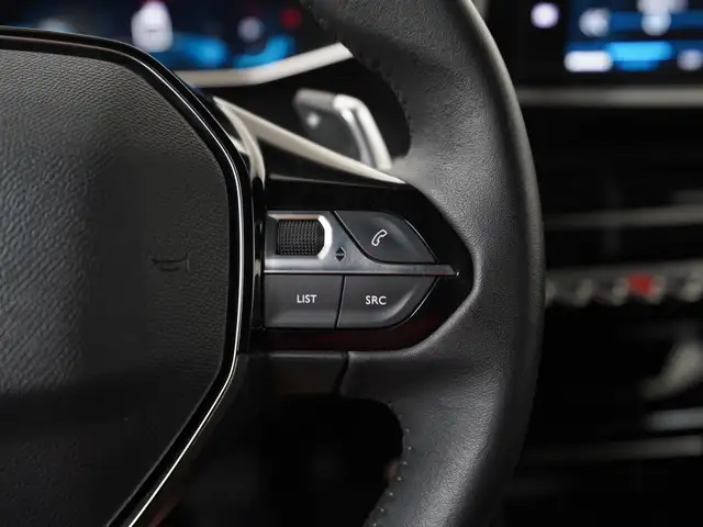 Peugeot 2008 view 10