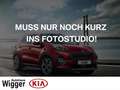 Kia Sorento Platinum 4WD 2.2 CRDi/AHK/Panorama/ACC Grau - thumbnail 1