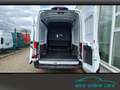 Ford Transit FT350 L4H3 DoKa Trend 4J Garantie Sync4 Alb - thumbnail 10
