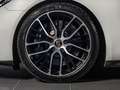 Porsche Panamera 4S E-Hybrid Sport Turismo - IVA Esposta Grigio - thumbnail 7
