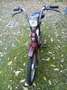 Piaggio Ciao Rood - thumbnail 2