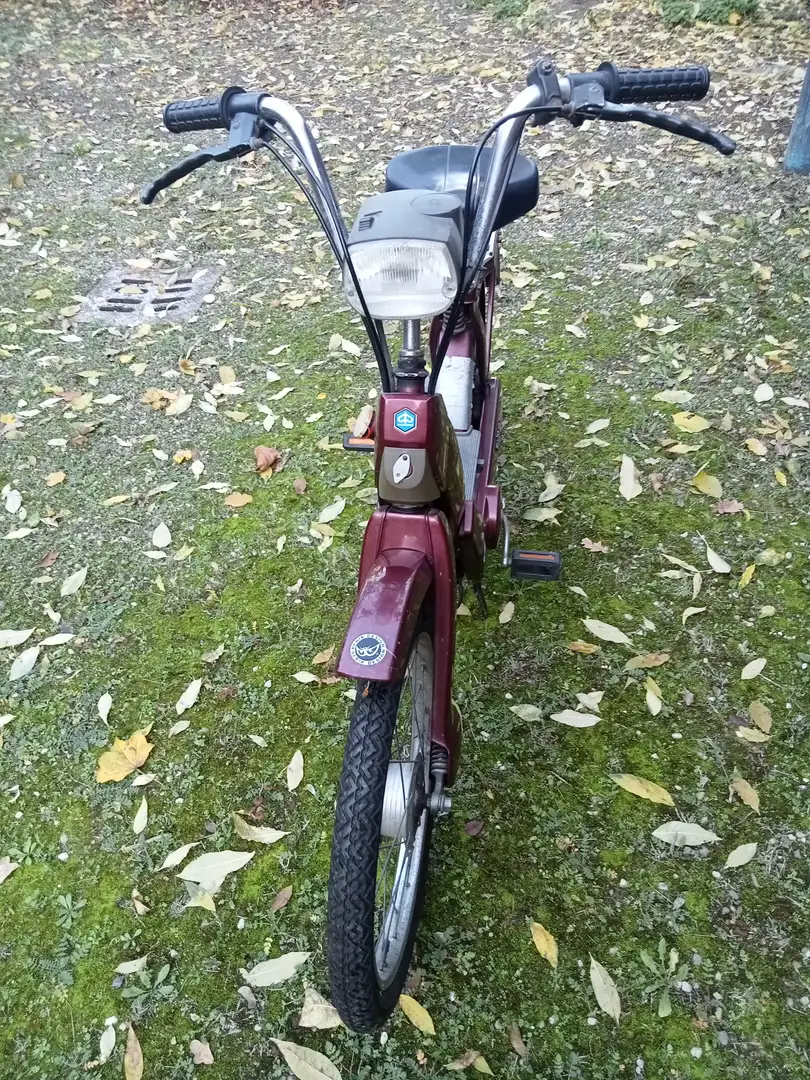 Piaggio Ciao Rood - 2