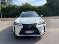 Lexus UX 200 UX 2019 250h 2.0 Premium 2wd cvt my20 Weiß - thumbnail 8