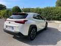 Lexus UX 200 UX 2019 250h 2.0 Premium 2wd cvt my20 Weiß - thumbnail 5