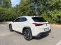 Lexus UX 200 UX 2019 250h 2.0 Premium 2wd cvt my20 Weiß - thumbnail 3