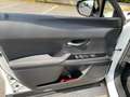 Lexus UX 200 UX 2019 250h 2.0 Premium 2wd cvt my20 Weiß - thumbnail 13
