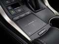 Lexus NX 300h AWD Business Line | NAVIGATIE | ACHTERUITRIJCAMERA Grijs - thumbnail 22
