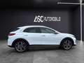 Kia XCeed 1.6 CRDi 48V Gold  | 1.Bes.| 8-fach | KIA-Garantie bis 2028 Weiß - thumbnail 7