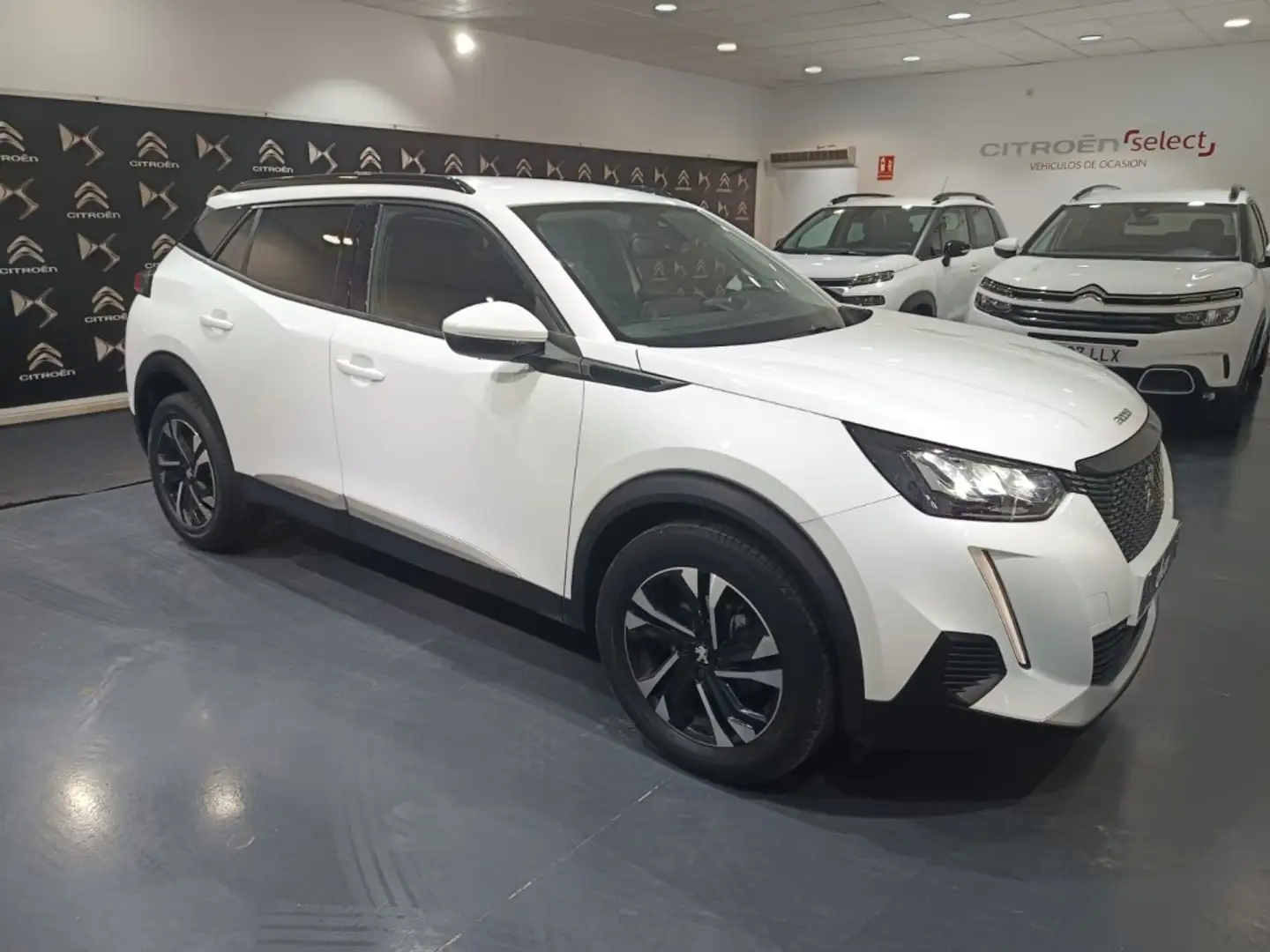 Peugeot 2008 1.2 PureTech S&S Allure 100 Weiß - 2