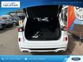 Ford Kuga Plug-In Hybrid ST-Line X/Panoschiebedach/LED Weiß - thumbnail 5