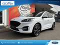 Ford Kuga Plug-In Hybrid ST-Line X/Panoschiebedach/LED Weiß - thumbnail 1