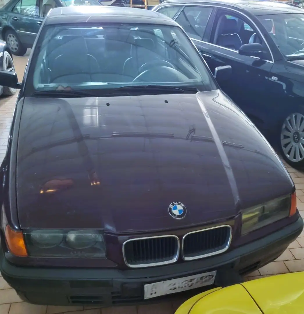 BMW 316 316i Compact Europa c/2airbag Violett - 2