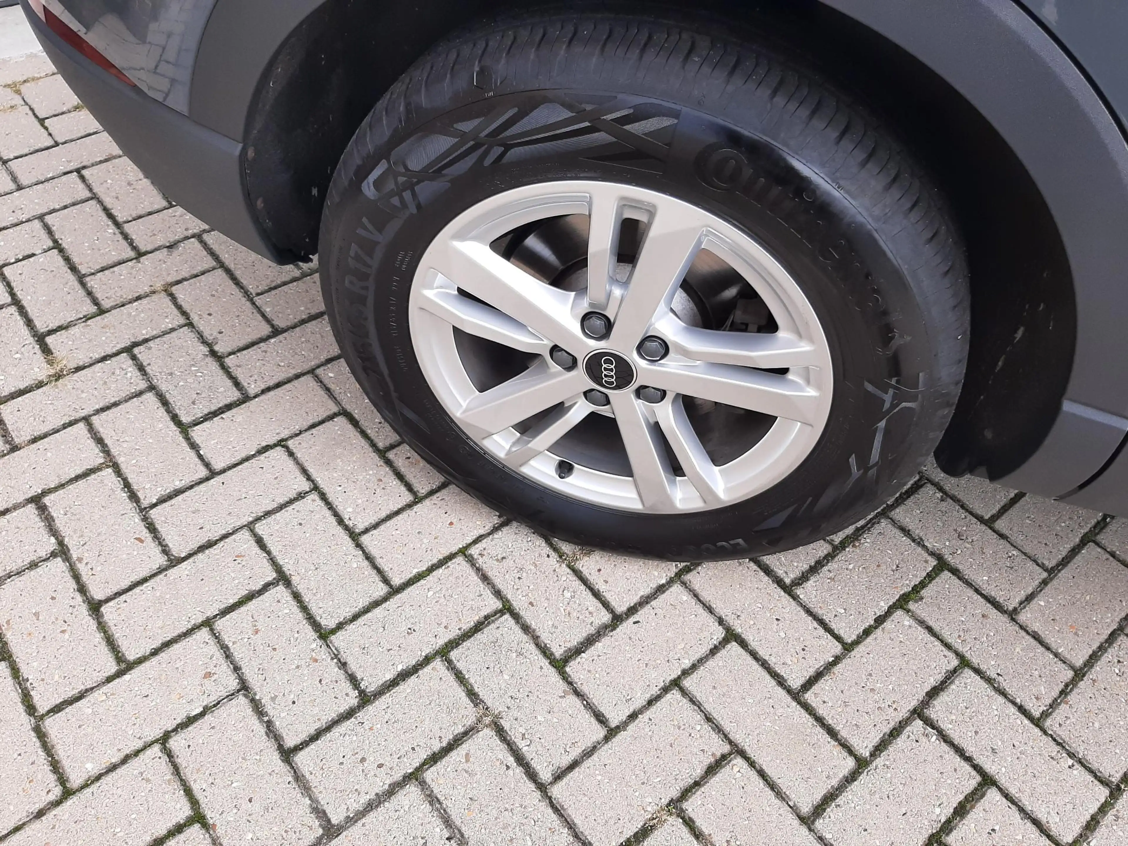 Audi Q3 45 TFSI e Business Edition — photo 6