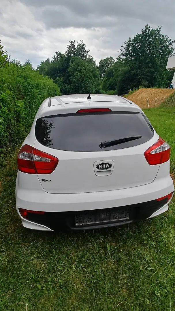 Kia Rio Rio 1,2 MPI Titan Titan Weiß - 2