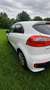Kia Rio Rio 1,2 MPI Titan Titan Weiß - thumbnail 4