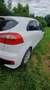 Kia Rio Rio 1,2 MPI Titan Titan Weiß - thumbnail 6