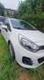 Kia Rio Rio 1,2 MPI Titan Titan Weiß - thumbnail 5